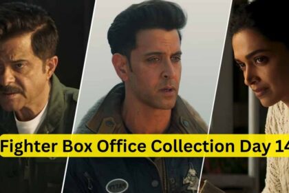 Fighter Box Office Collection Day 14