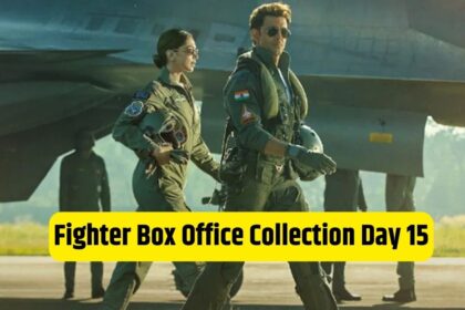 Fighter Box Office Collection Day 15